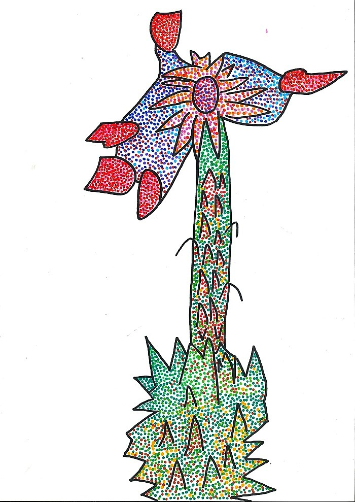 29 Fiore di Cactus
