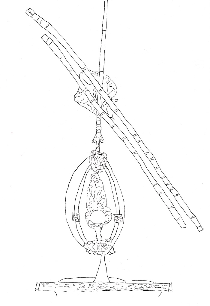 150 Telescopio di Galileo Galilei