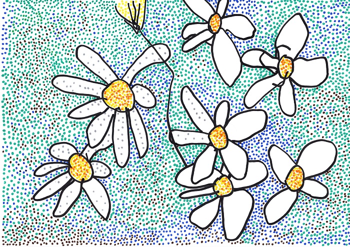 63 Daisies