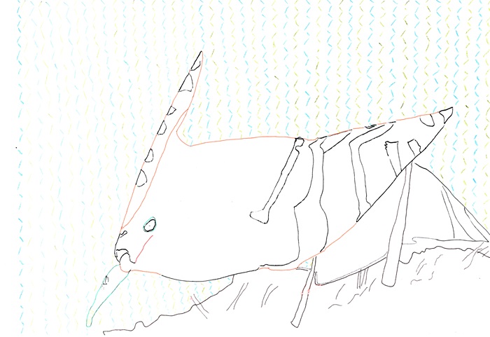 188 Upupa