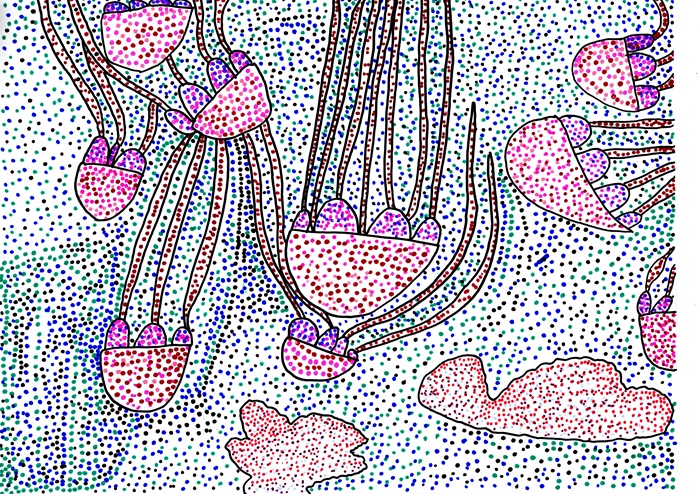 79 Meduse