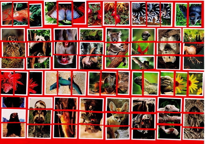 158 Puzzle