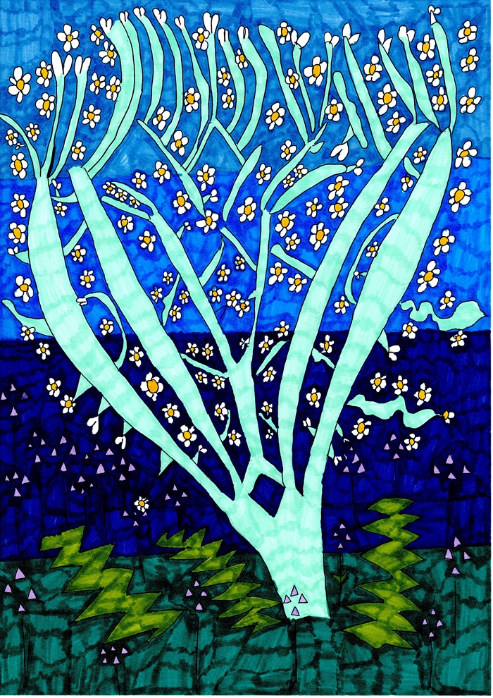 24 Quercia
