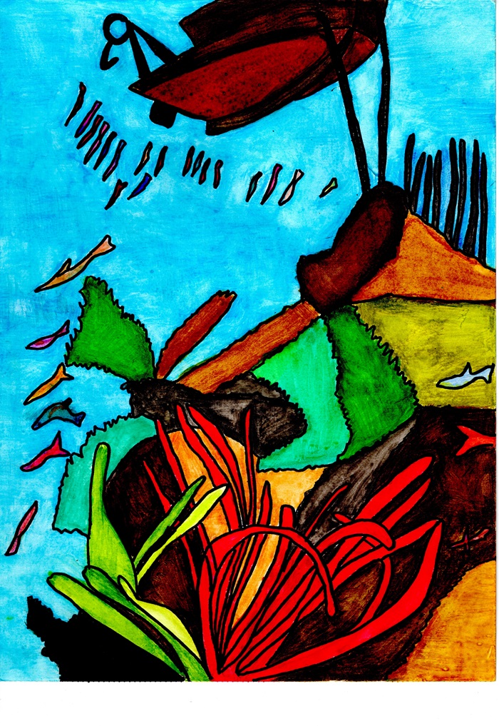 37 Fondale marino