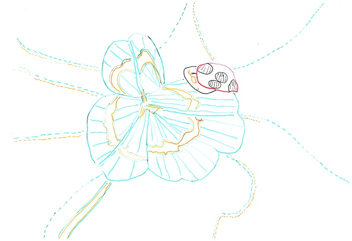 254 Quadrifoglio con coccinella