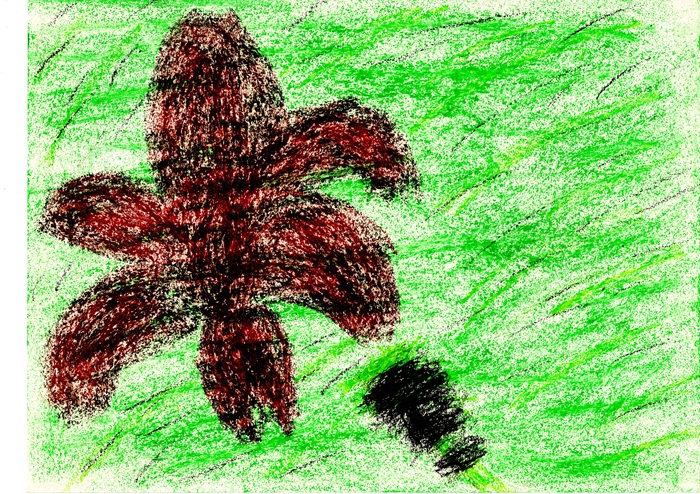 126 Giglio di San Giovanni